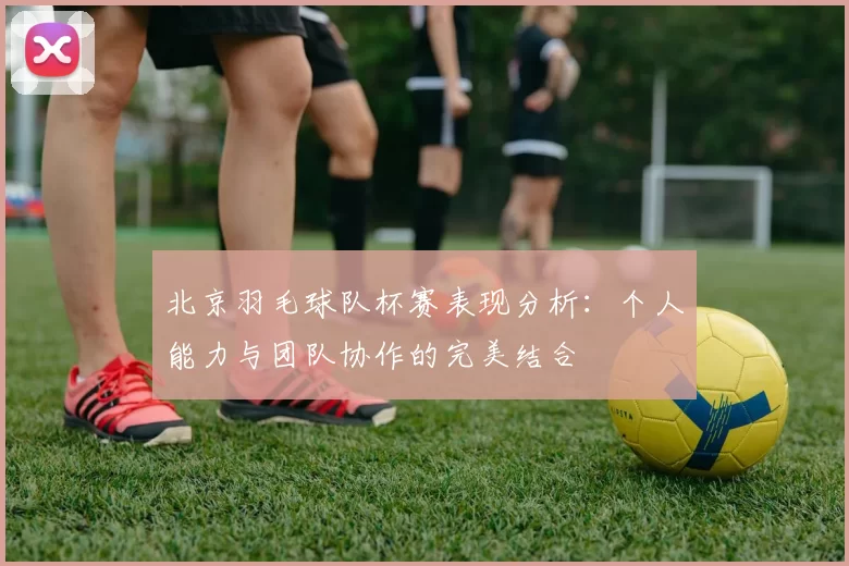 北京羽毛球队杯赛表现分析：个人能力与团队协作的完美结合