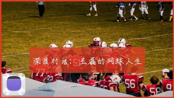 深度对话：王磊的网球人生