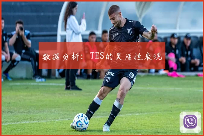 数据分析：TES的灵活性表现