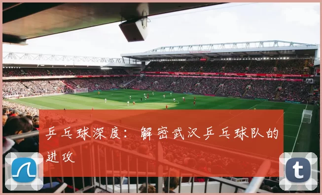 乒乓球深度：解密武汉乒乓球队的进攻